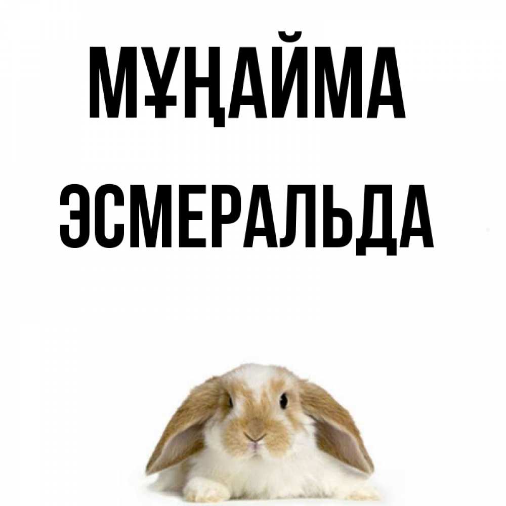 Күн сайын ашық хат с именем, Эсмеральда Мұңайма коричнево белый заяц с большими ушками Онлайн тегін жүктеп алу тілектері бар керемет карта 