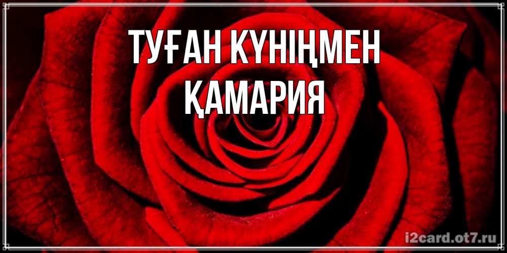 Күн сайын ашық хат с именем, ҚАМАРИЯ Туған күніңмен алая роза Онлайн тегін жүктеп алу тілектері бар керемет карта 