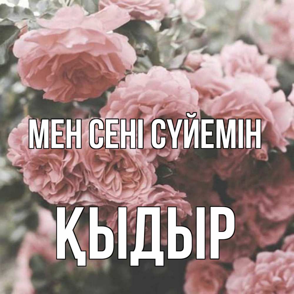 Күн сайын ашық хат с именем, ҚЫДЫР Мен сені сүйемін розы 3 Онлайн тегін жүктеп алу тілектері бар керемет карта 