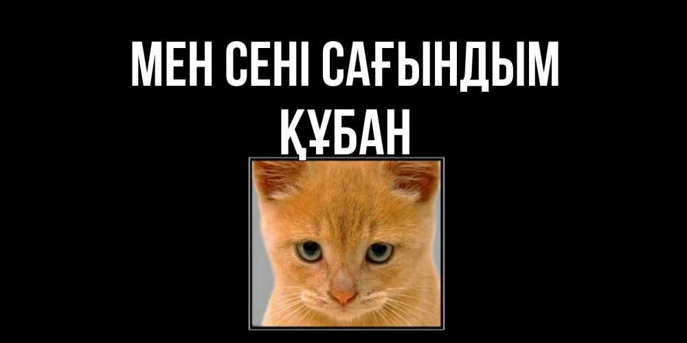 Күн сайын ашық хат с именем, ҚҰБАН Мен сені сағындым открытки рыжий котенок скучает по тебе Онлайн тегін жүктеп алу тілектері бар керемет карта 