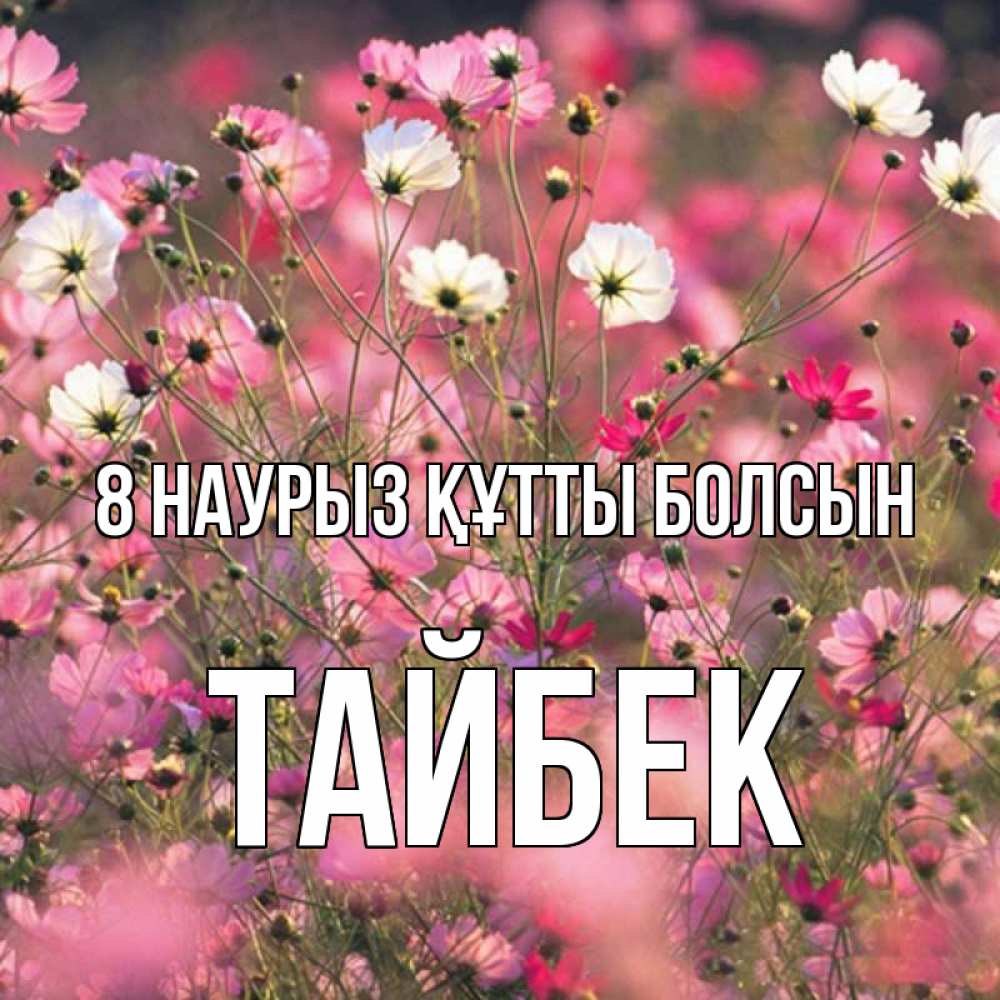 Күн сайын ашық хат с именем, ТАЙБЕК 8 наурыз құтты болсын красиво 1 Онлайн тегін жүктеп алу тілектері бар керемет карта 