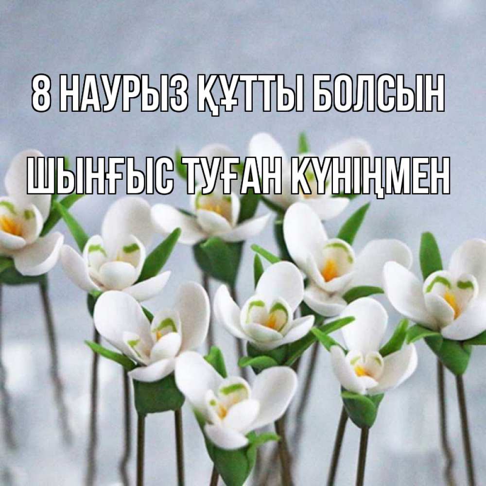 Картинка 8 наурыз құтты болсын, ШЫНҒЫС! ТУҒАН КҮНІҢМЕН!