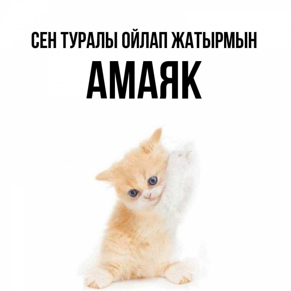 Күн сайын ашық хат с именем, Амаяк Сен туралы ойлап жатырмын зверушки и милота Онлайн тегін жүктеп алу тілектері бар керемет карта 