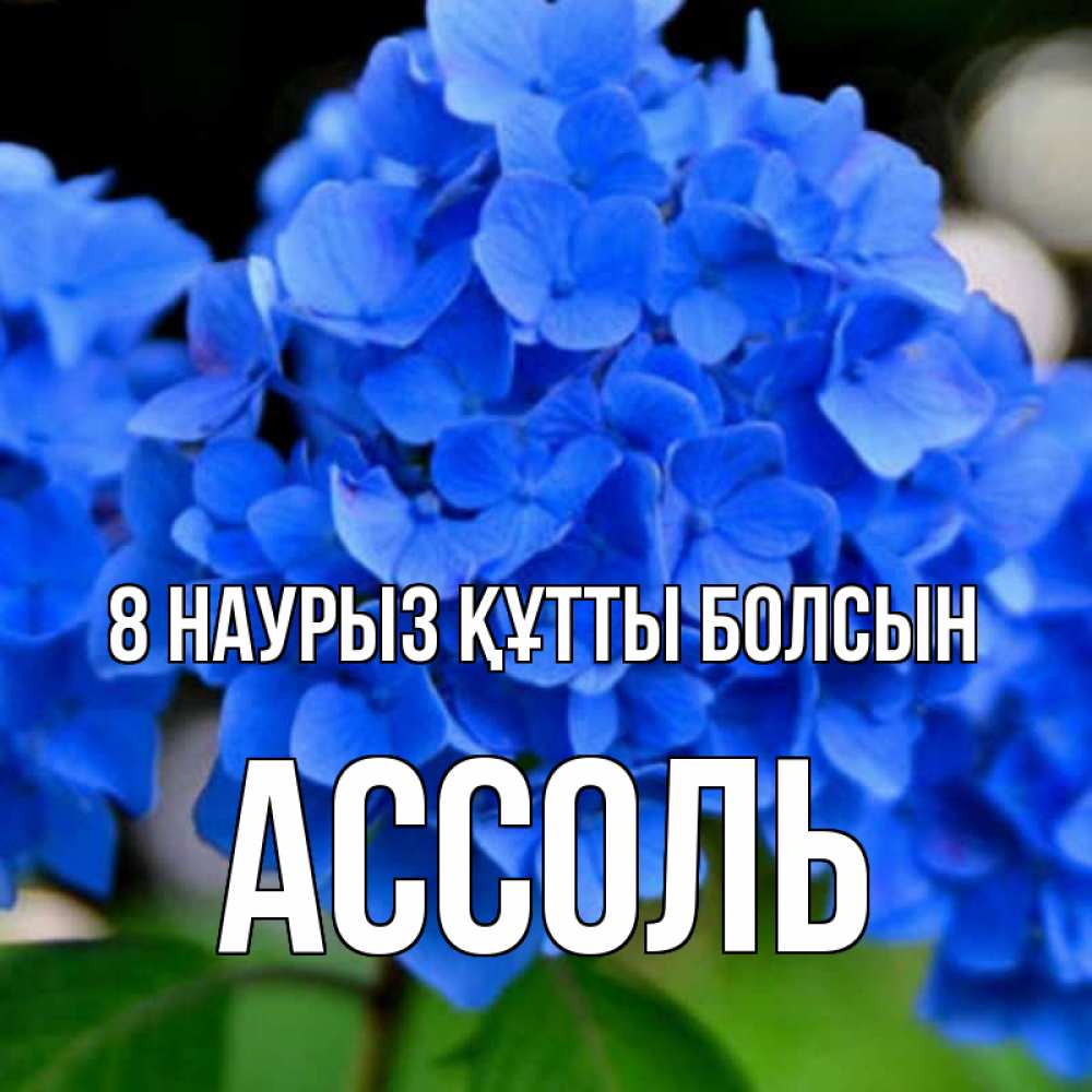 Күн сайын ашық хат с именем, Ассоль 8 наурыз құтты болсын синие цветы Онлайн тегін жүктеп алу тілектері бар керемет карта 