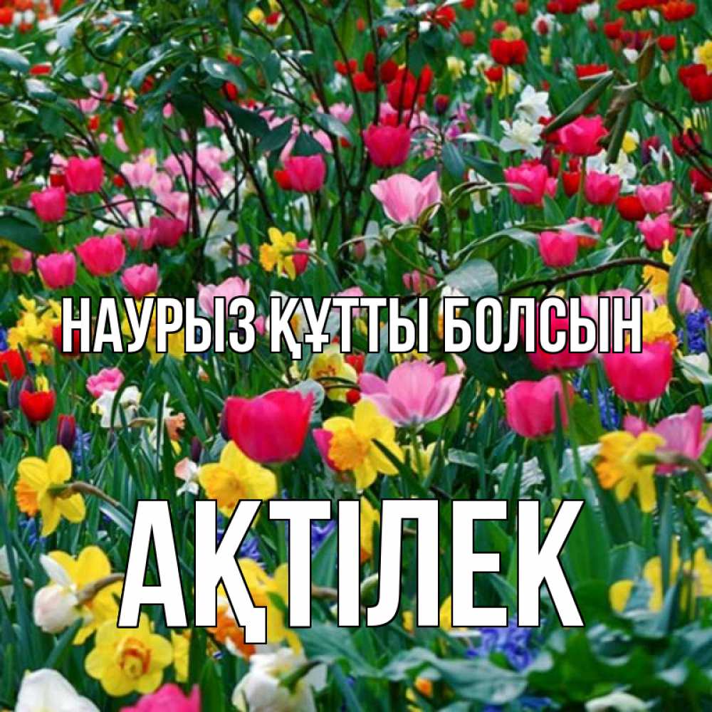 Күн сайын ашық хат с именем, Ақтілек Наурыз құтты болсын с наурызом поздравления для женщины Онлайн тегін жүктеп алу тілектері бар керемет карта 