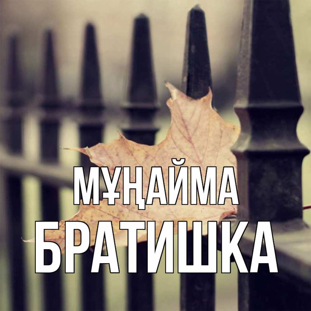 Күн сайын ашық хат с именем, Братишка Мұңайма лист клена Онлайн тегін жүктеп алу тілектері бар керемет карта 