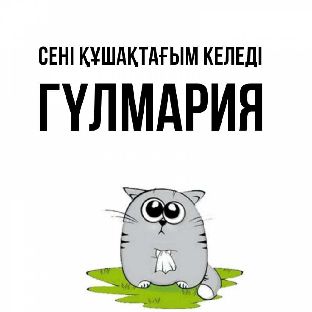 Күн сайын ашық хат с именем, ГҮЛМАРИЯ сені құшақтағым келеді котик теребит платочек сидя на травке Онлайн тегін жүктеп алу тілектері бар керемет карта 