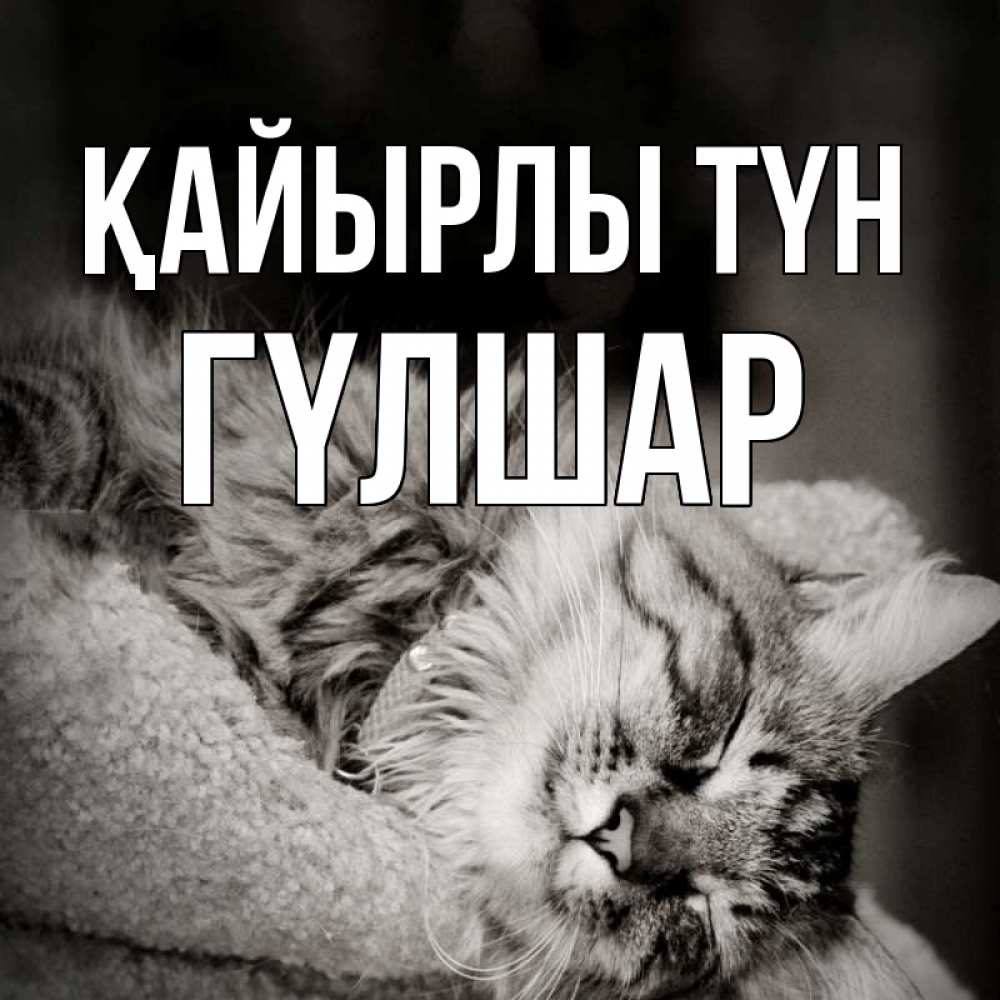 Күн сайын ашық хат с именем, ГҮЛШАР Қайырлы түн котярик пушистый Онлайн тегін жүктеп алу тілектері бар керемет карта 