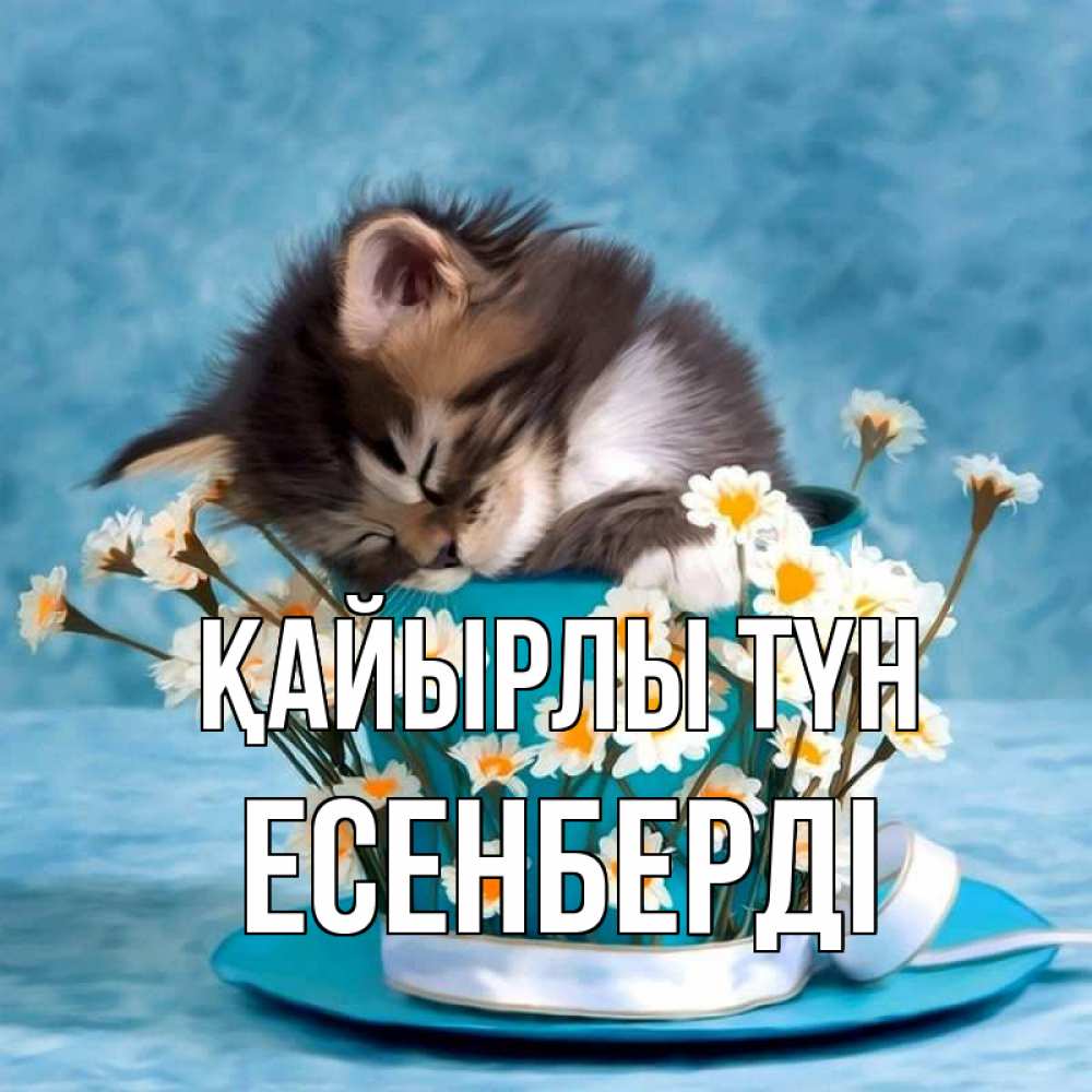 Күн сайын ашық хат с именем, Есенберді Қайырлы түн котенок спит в кружке с блюдцем Онлайн тегін жүктеп алу тілектері бар керемет карта 