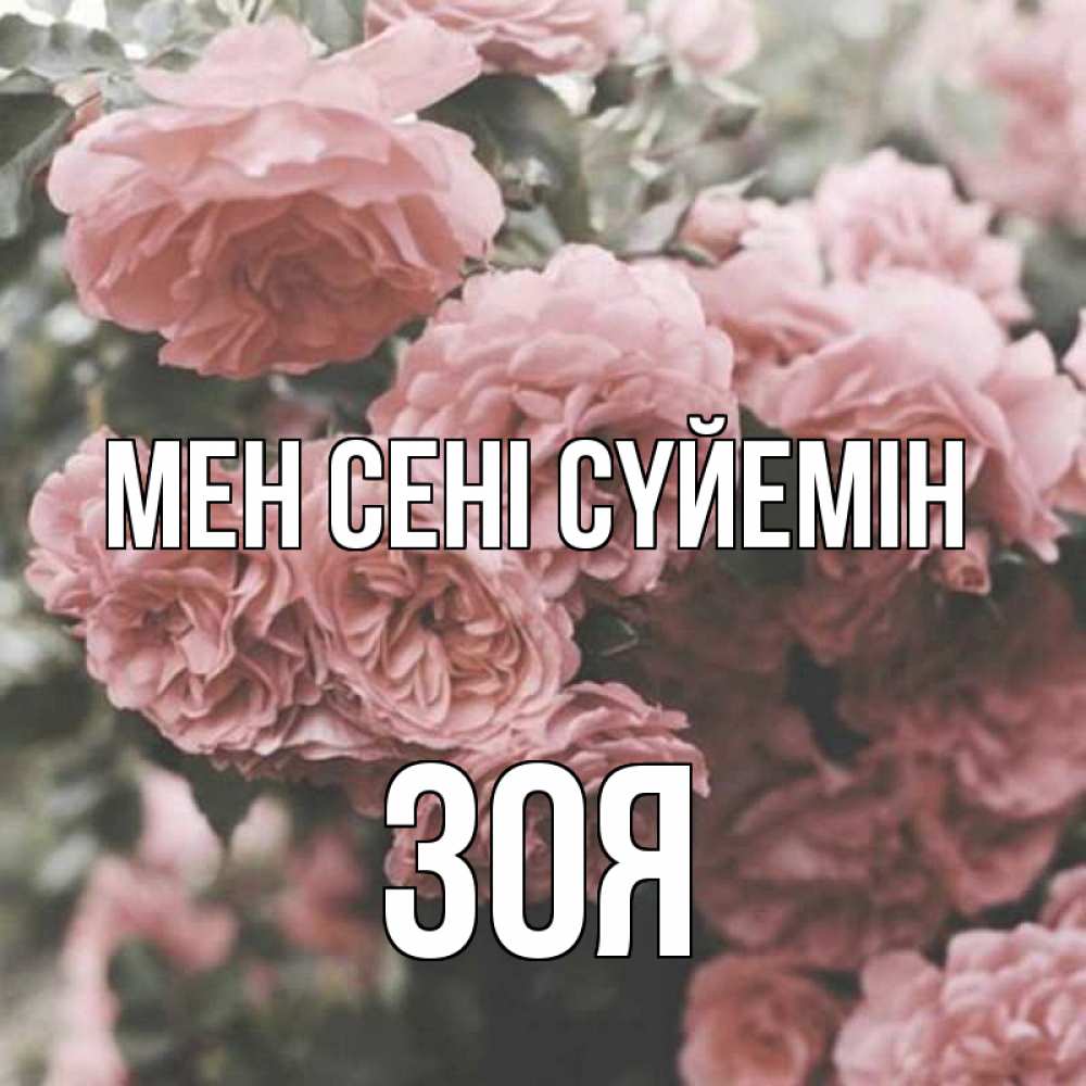 Күн сайын ашық хат с именем, Зоя Мен сені сүйемін розы 3 Онлайн тегін жүктеп алу тілектері бар керемет карта 