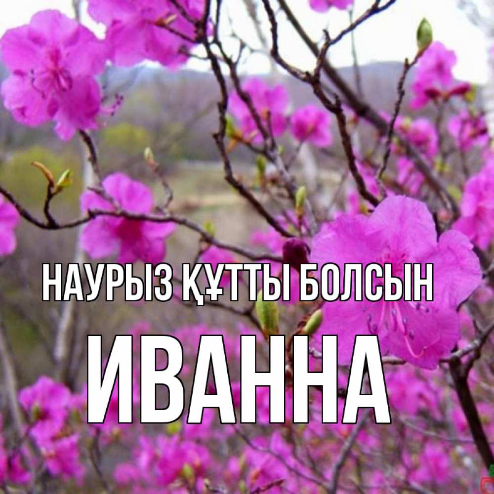 Күн сайын ашық хат с именем, Иванна Наурыз құтты болсын наурыз мейрамы кутты болсын Онлайн тегін жүктеп алу тілектері бар керемет карта 