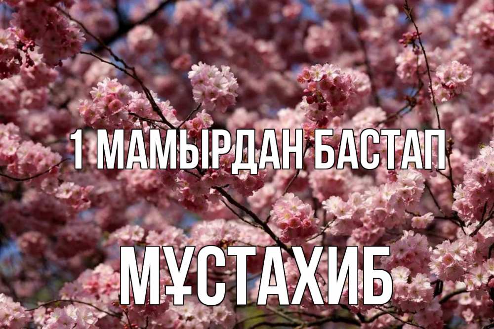 Күн сайын ашық хат с именем, МҰСТАХИБ 1 мамырдан бастап С 1 мая Онлайн тегін жүктеп алу тілектері бар керемет карта 
