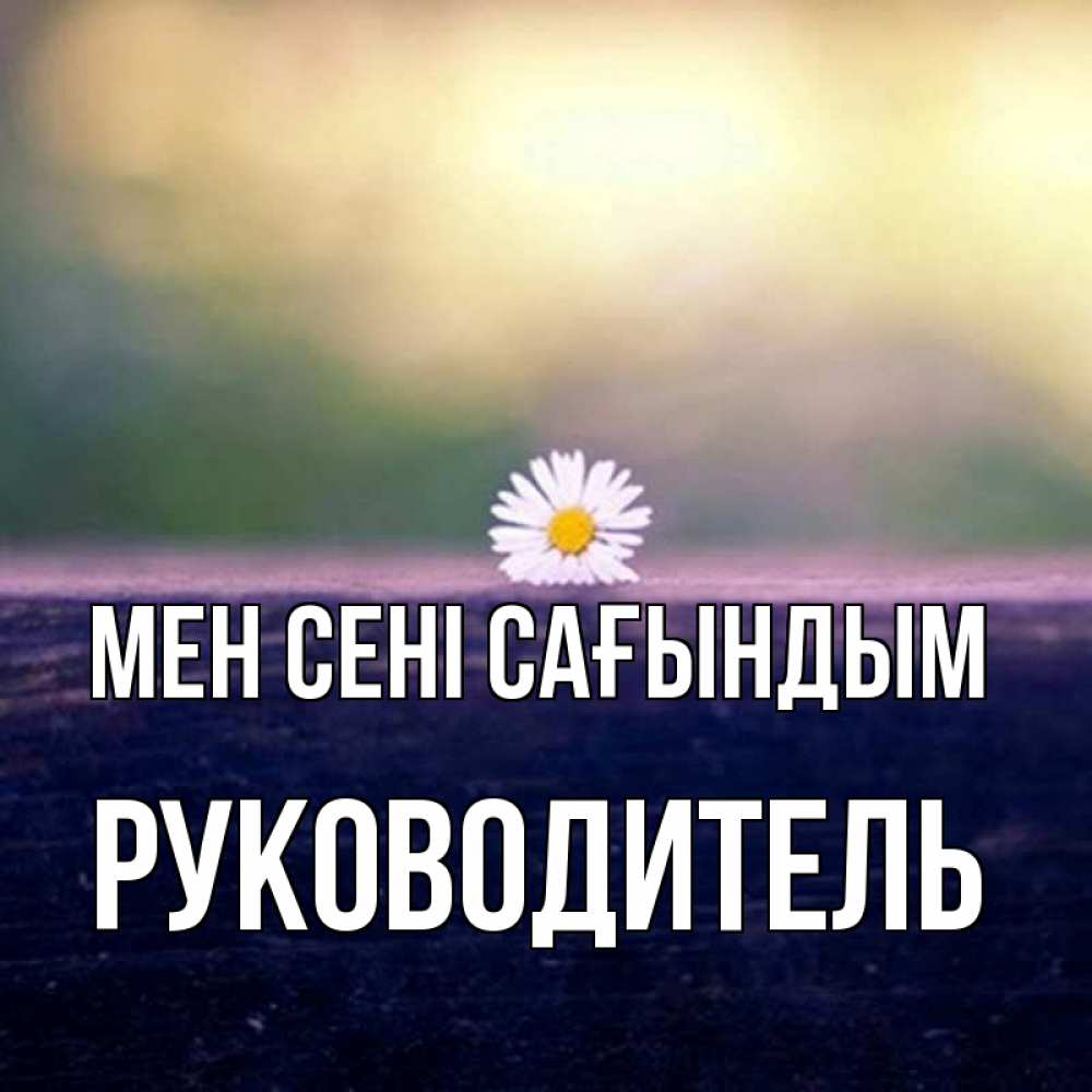 Күн сайын ашық хат с именем, Руководитель Мен сені сағындым приходи в гости Онлайн тегін жүктеп алу тілектері бар керемет карта 