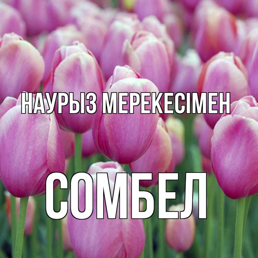 Күн сайын ашық хат с именем, СОМБЕЛ Наурыз мерекесімен праздник весны наурыз 69 Онлайн тегін жүктеп алу тілектері бар керемет карта 