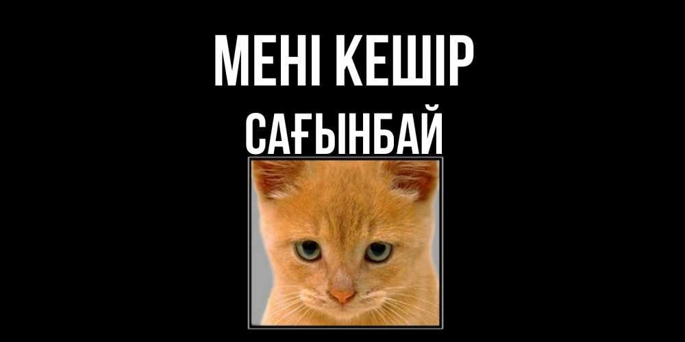 Күн сайын ашық хат с именем, Сағынбай Мені кешір рыжий грустный кот просит прощения Онлайн тегін жүктеп алу тілектері бар керемет карта 