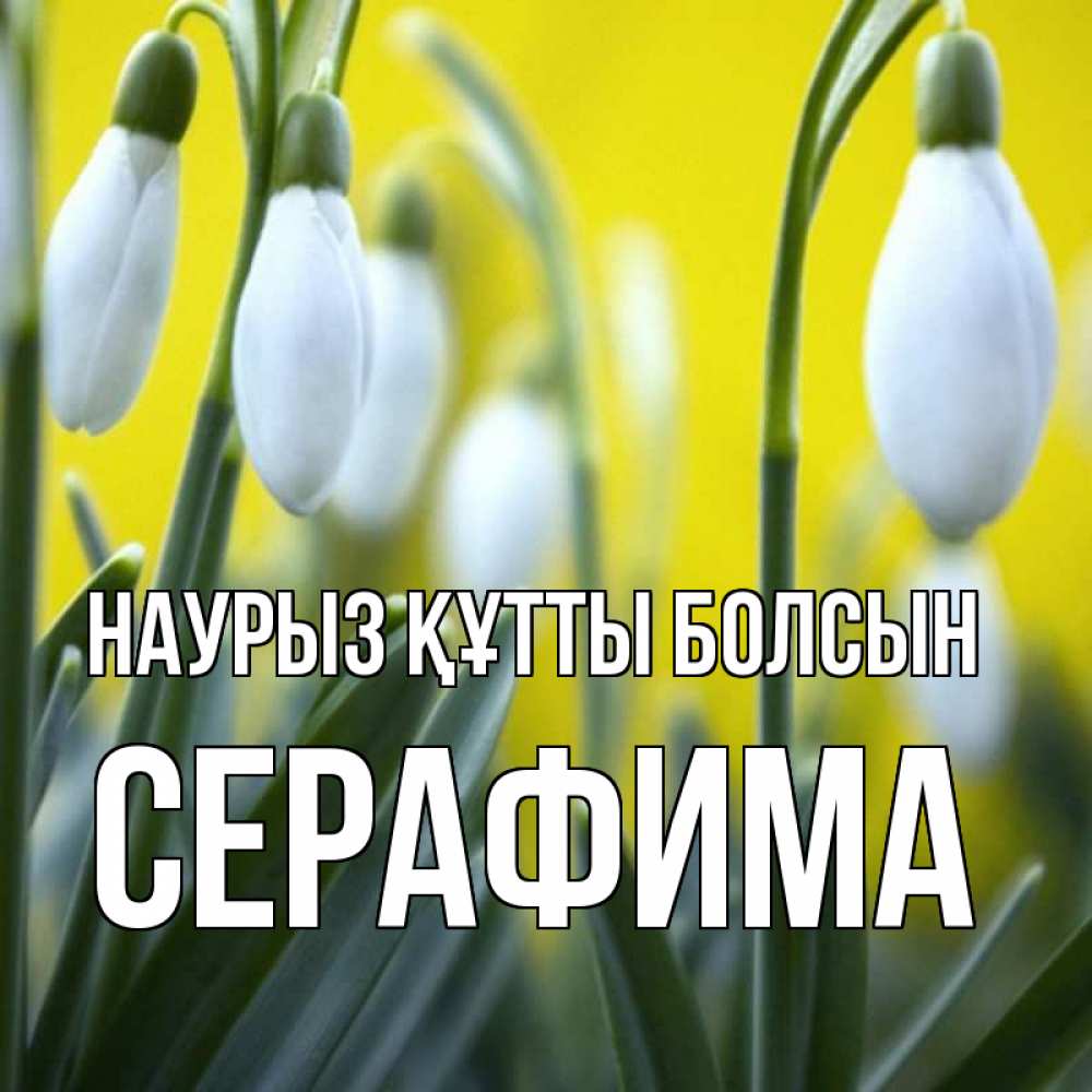 Күн сайын ашық хат с именем, Серафима Наурыз құтты болсын весенние цветы Онлайн тегін жүктеп алу тілектері бар керемет карта 