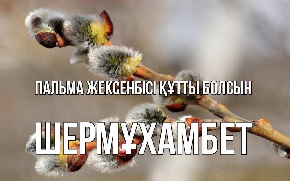 Күн сайын ашық хат с именем, ШЕРМҰХАМБЕТ Пальма жексенбісі құтты болсын Верба Онлайн тегін жүктеп алу тілектері бар керемет карта 