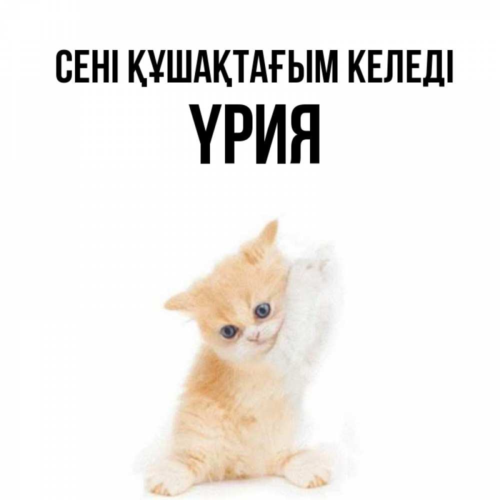Күн сайын ашық хат с именем, ҮРИЯ сені құшақтағым келеді я хочу очень скорее обнимаешек Онлайн тегін жүктеп алу тілектері бар керемет карта 