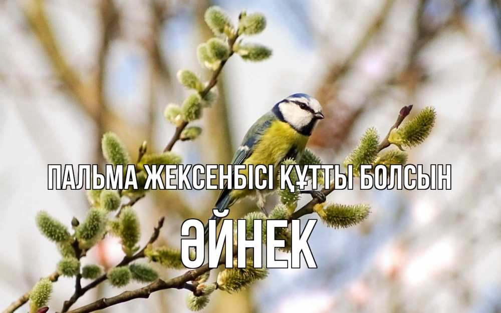 Күн сайын ашық хат с именем, ӘЙНЕК Пальма жексенбісі құтты болсын верба Онлайн тегін жүктеп алу тілектері бар керемет карта 