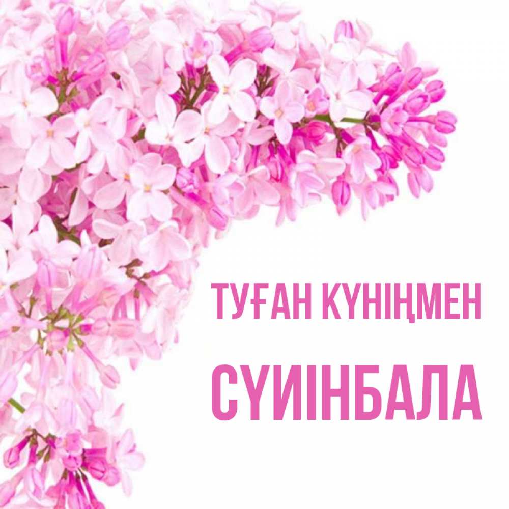 Күн сайын ашық хат с именем, СҮИІНБАЛА Туған күніңмен Сирень на белом фоне Онлайн тегін жүктеп алу тілектері бар керемет карта 