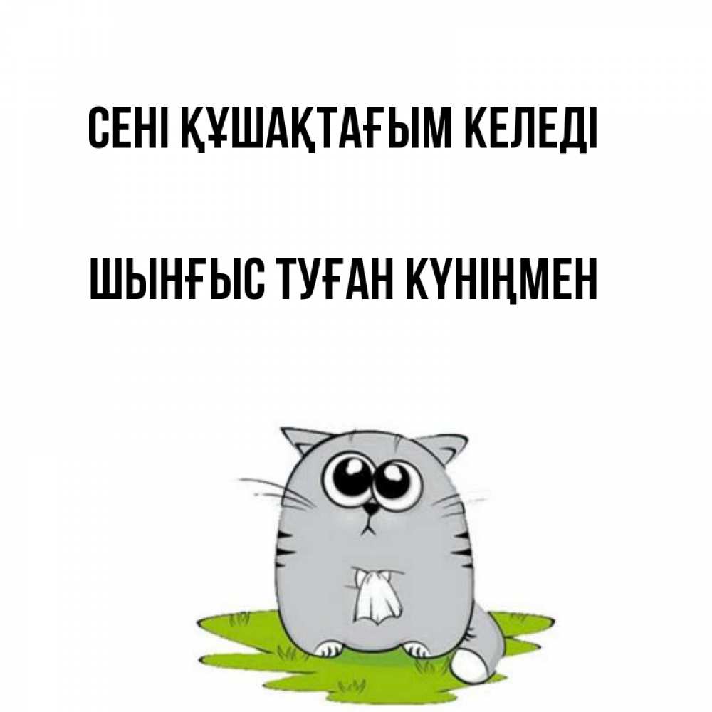 Картинка сені құшақтағым келеді, ШЫНҒЫС! ТУҒАН КҮНІҢМЕН!