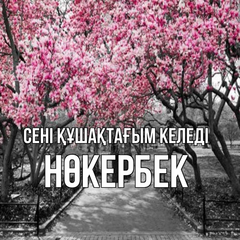 Күн сайын ашық хат с именем, НӨКЕРБЕК сені құшақтағым келеді обработанное фото Онлайн тегін жүктеп алу тілектері бар керемет карта 