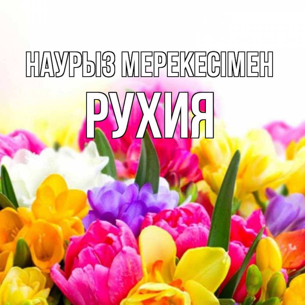 Күн сайын ашық хат с именем, РУХИЯ Наурыз мерекесімен тюльпаны Онлайн тегін жүктеп алу тілектері бар керемет карта 