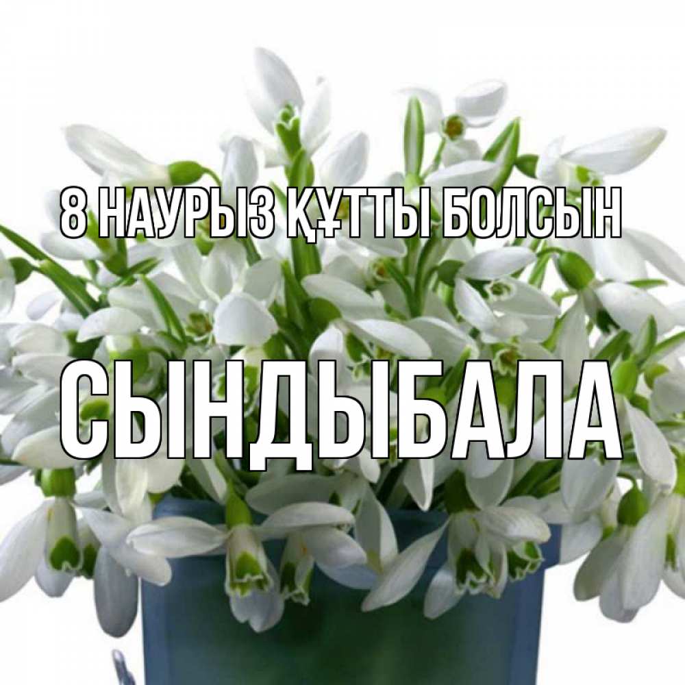 Күн сайын ашық хат с именем, СЫНДЫБАЛА 8 наурыз құтты болсын цветы к международному женскому дню Онлайн тегін жүктеп алу тілектері бар керемет карта 