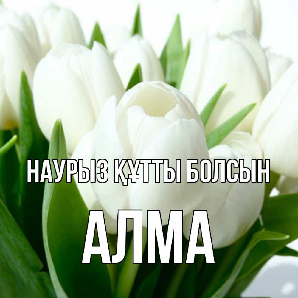 Күн сайын ашық хат с именем, АЛМА Наурыз құтты болсын цветы Онлайн тегін жүктеп алу тілектері бар керемет карта 