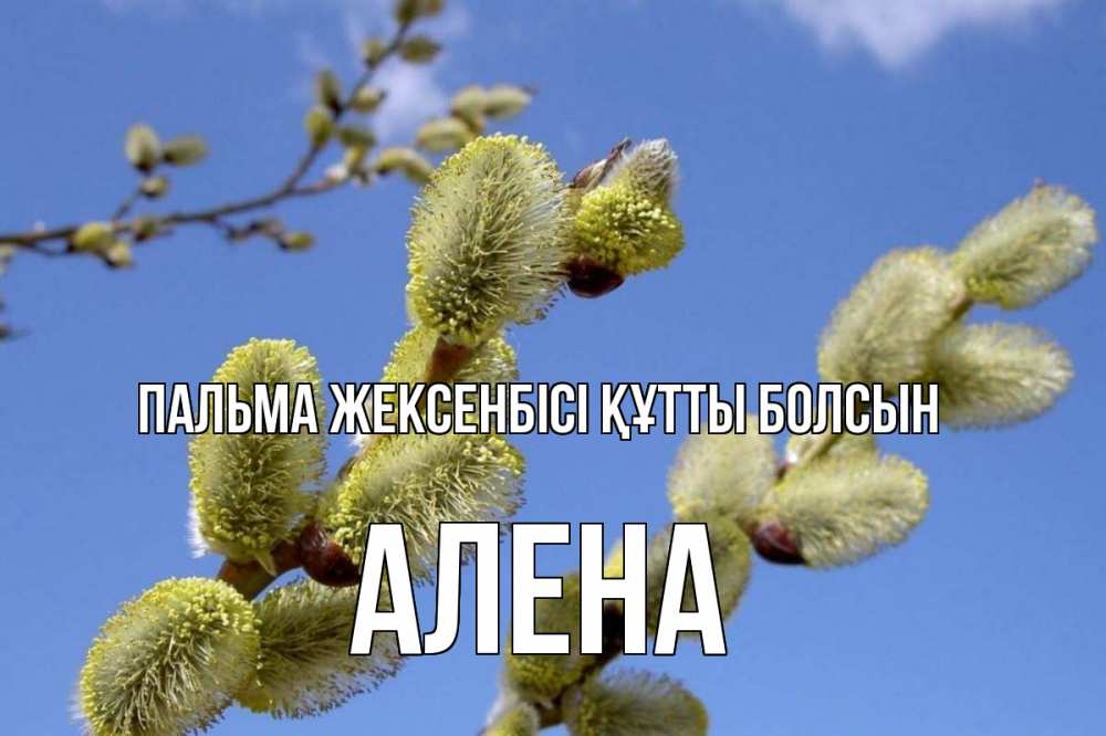 Күн сайын ашық хат с именем, Алена Пальма жексенбісі құтты болсын верба Онлайн тегін жүктеп алу тілектері бар керемет карта 