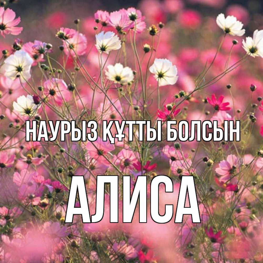 Күн сайын ашық хат с именем, Алиса Наурыз құтты болсын красиво 1 Онлайн тегін жүктеп алу тілектері бар керемет карта 