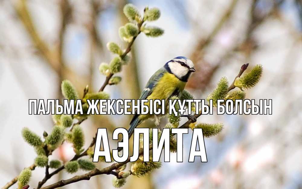 Күн сайын ашық хат с именем, Аэлита Пальма жексенбісі құтты болсын верба Онлайн тегін жүктеп алу тілектері бар керемет карта 