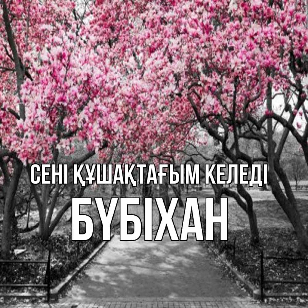 Күн сайын ашық хат с именем, БҮБІХАН сені құшақтағым келеді обработанное фото Онлайн тегін жүктеп алу тілектері бар керемет карта 