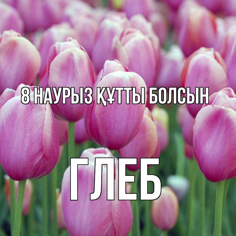 Күн сайын ашық хат с именем, Глеб 8 наурыз құтты болсын на международный женский день 3 Онлайн тегін жүктеп алу тілектері бар керемет карта 