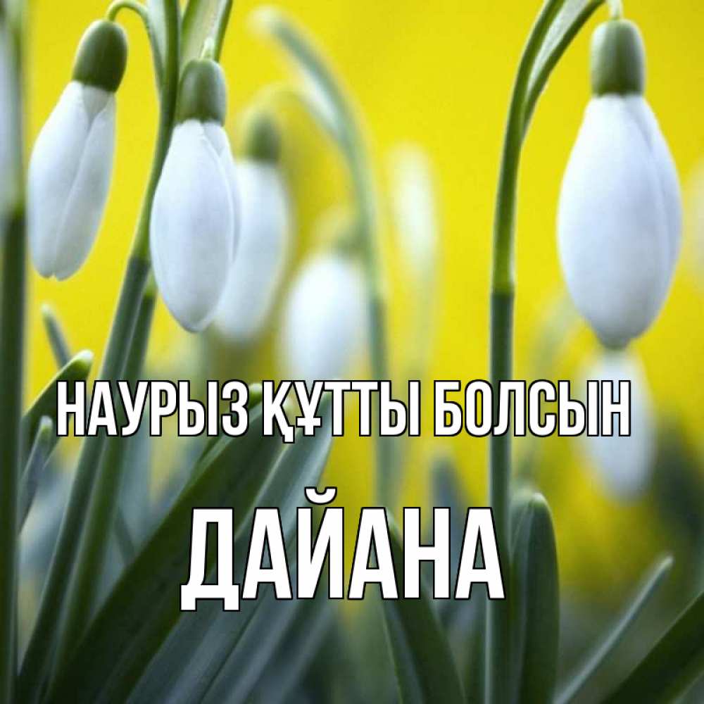 Күн сайын ашық хат с именем, ДАЙАНА Наурыз құтты болсын весенние цветы Онлайн тегін жүктеп алу тілектері бар керемет карта 