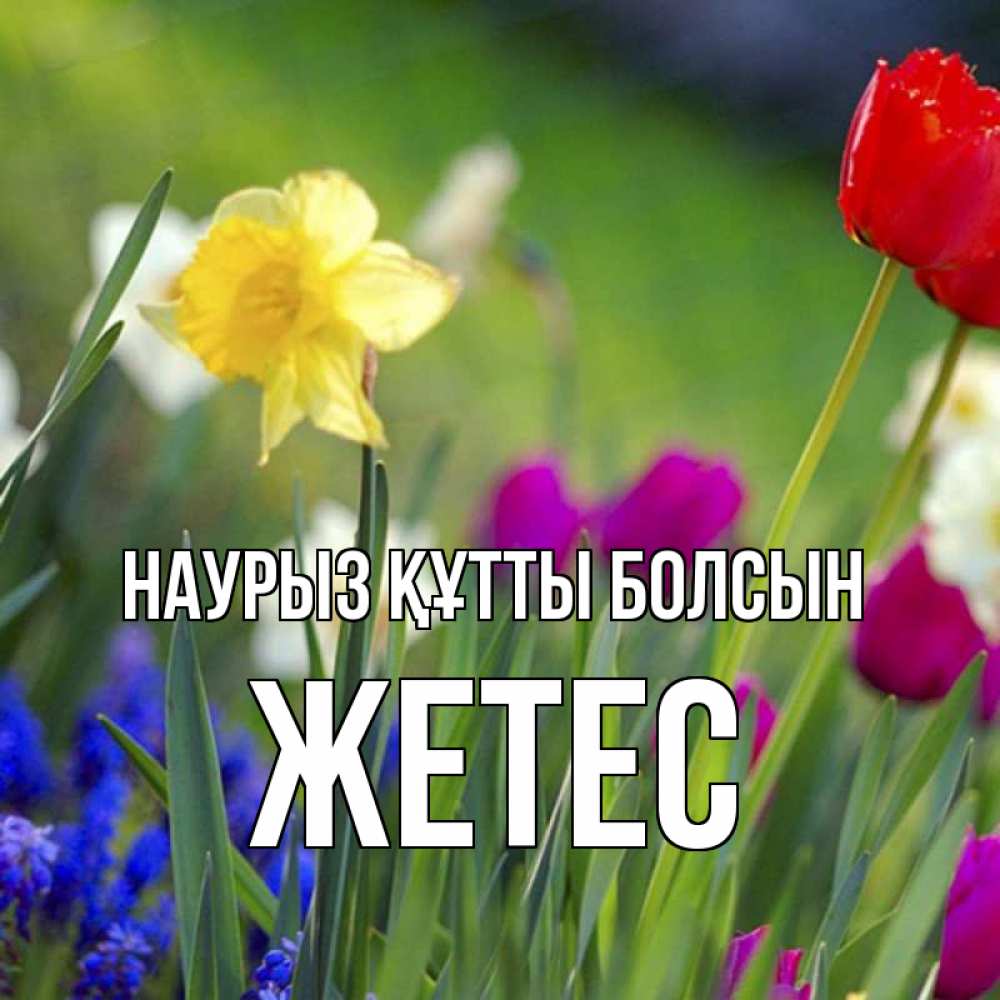 Күн сайын ашық хат с именем, Жетес Наурыз құтты болсын наурыз  3 открытки Онлайн тегін жүктеп алу тілектері бар керемет карта 