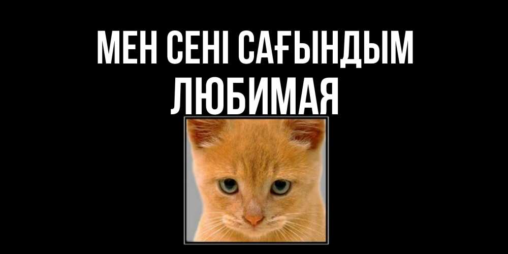 Күн сайын ашық хат с именем, Любимая Мен сені сағындым открытки рыжий котенок скучает по тебе Онлайн тегін жүктеп алу тілектері бар керемет карта 