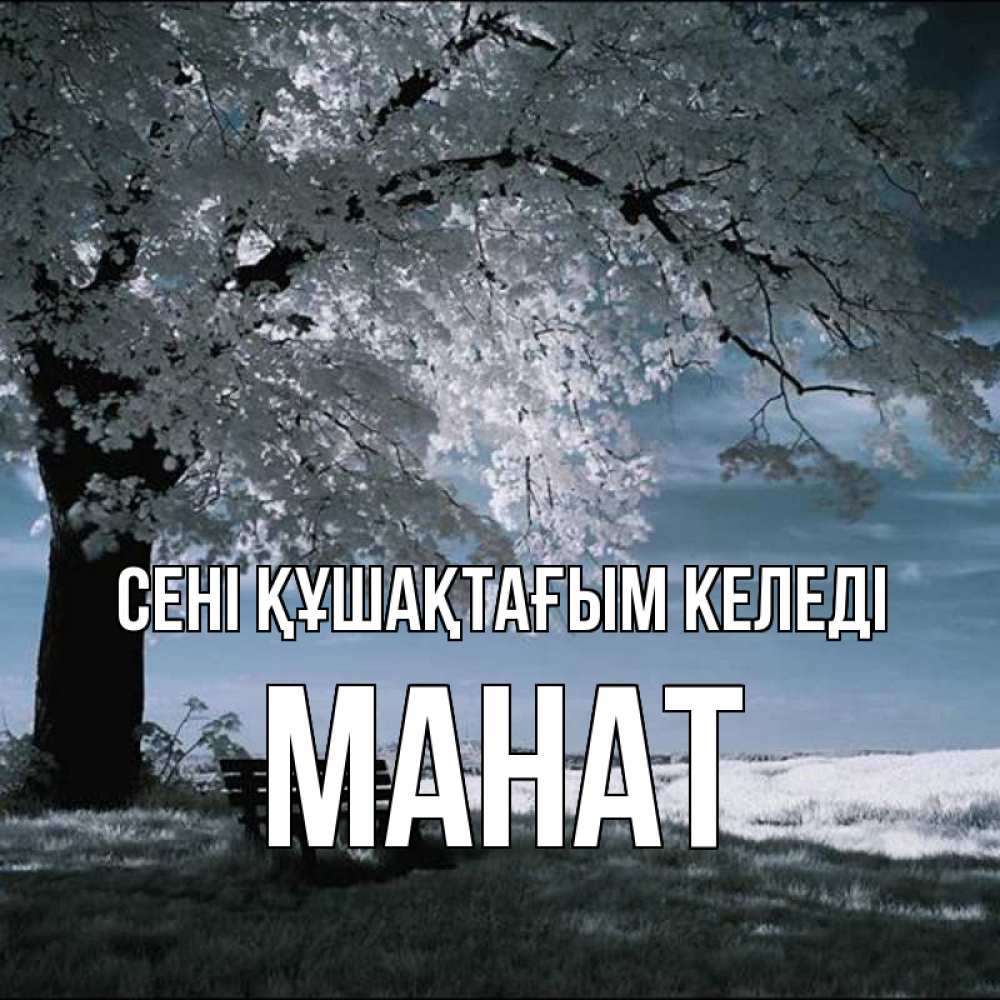 Күн сайын ашық хат с именем, МАНАТ сені құшақтағым келеді дерево Онлайн тегін жүктеп алу тілектері бар керемет карта 