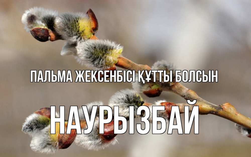 Күн сайын ашық хат с именем, Наурызбай Пальма жексенбісі құтты болсын Верба Онлайн тегін жүктеп алу тілектері бар керемет карта 