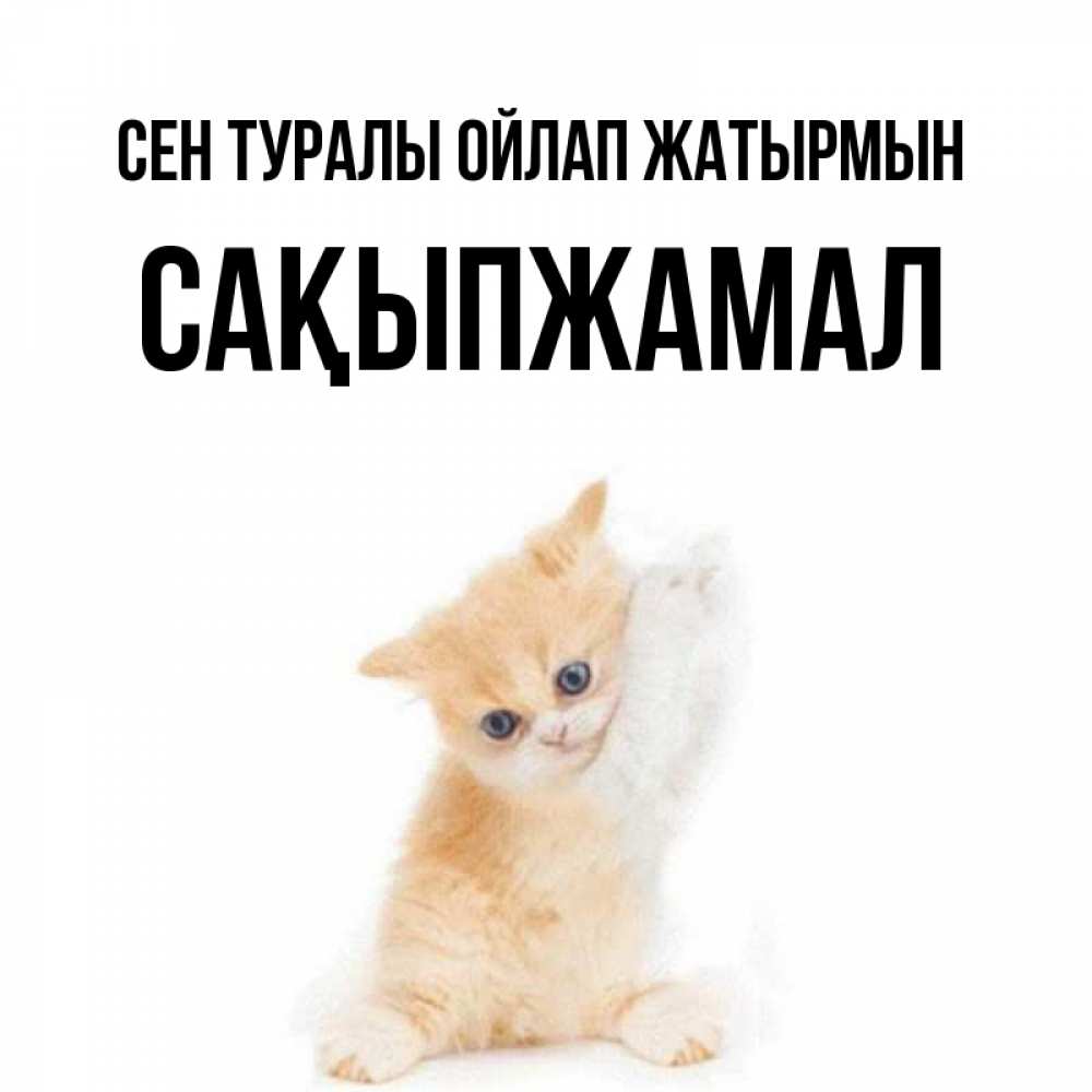 Күн сайын ашық хат с именем, САҚЫПЖАМАЛ Сен туралы ойлап жатырмын зверушки и милота Онлайн тегін жүктеп алу тілектері бар керемет карта 