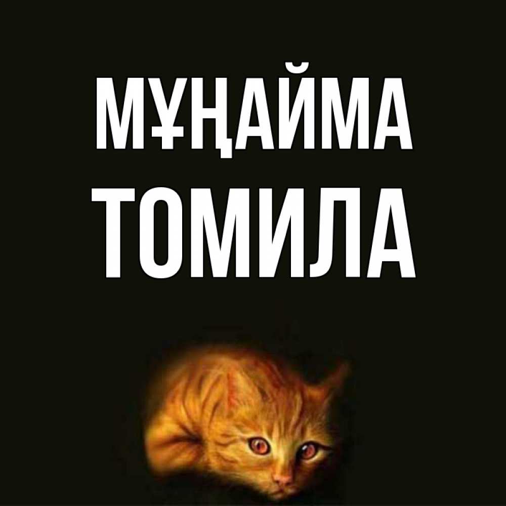 Күн сайын ашық хат с именем, Томила Мұңайма лежащий кот в темноте Онлайн тегін жүктеп алу тілектері бар керемет карта 