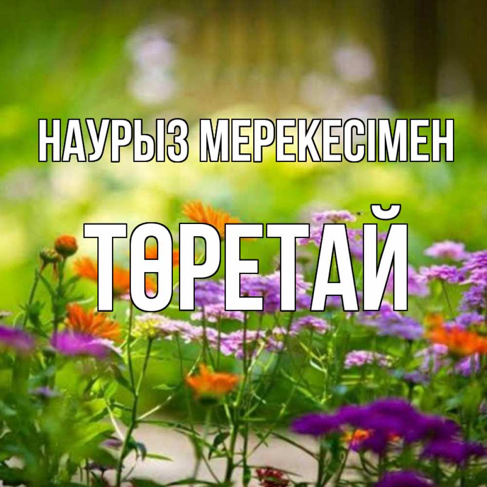 Күн сайын ашық хат с именем, Төретай Наурыз мерекесімен цветы Онлайн тегін жүктеп алу тілектері бар керемет карта 