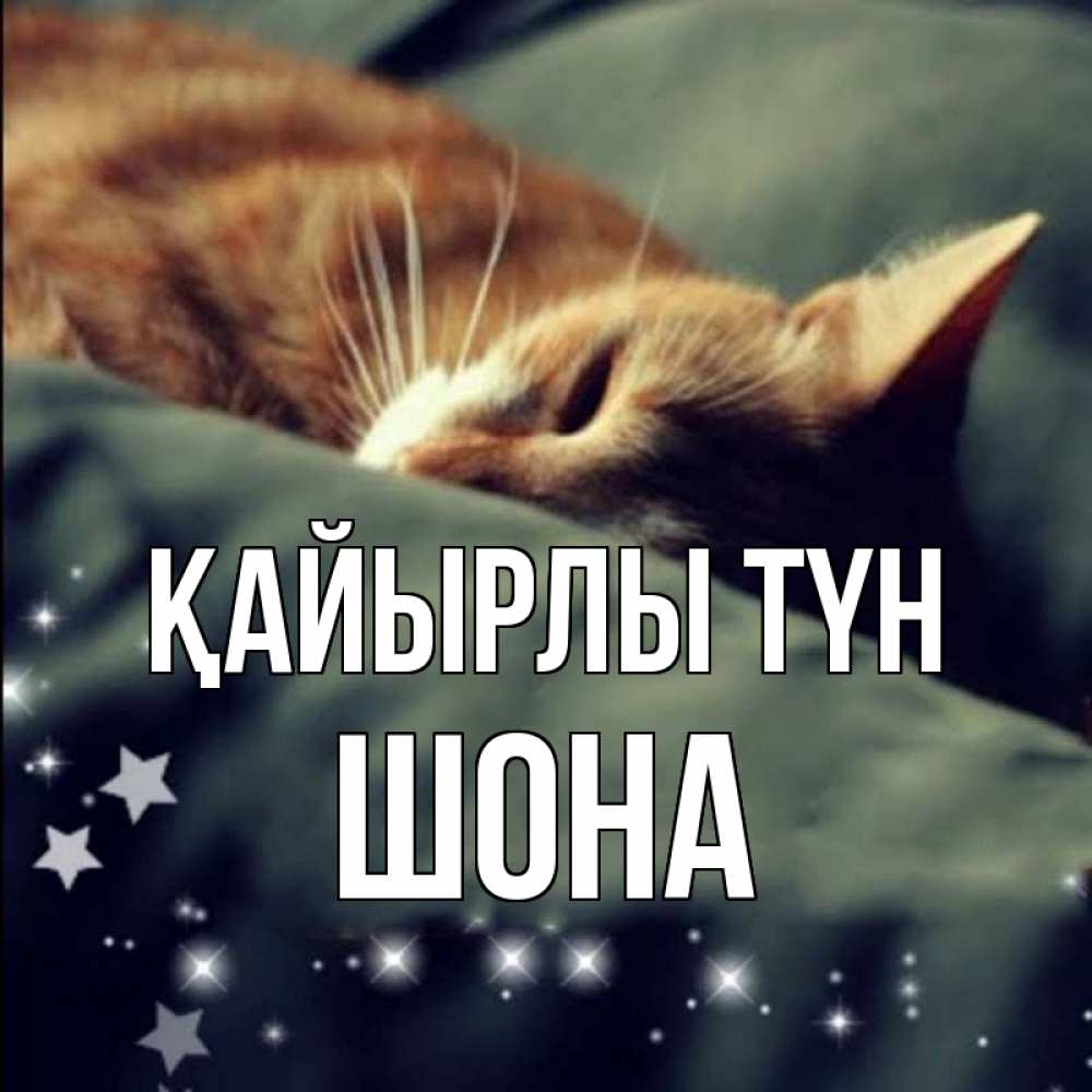 Күн сайын ашық хат с именем, ШОНА Қайырлы түн кроватка Онлайн тегін жүктеп алу тілектері бар керемет карта 