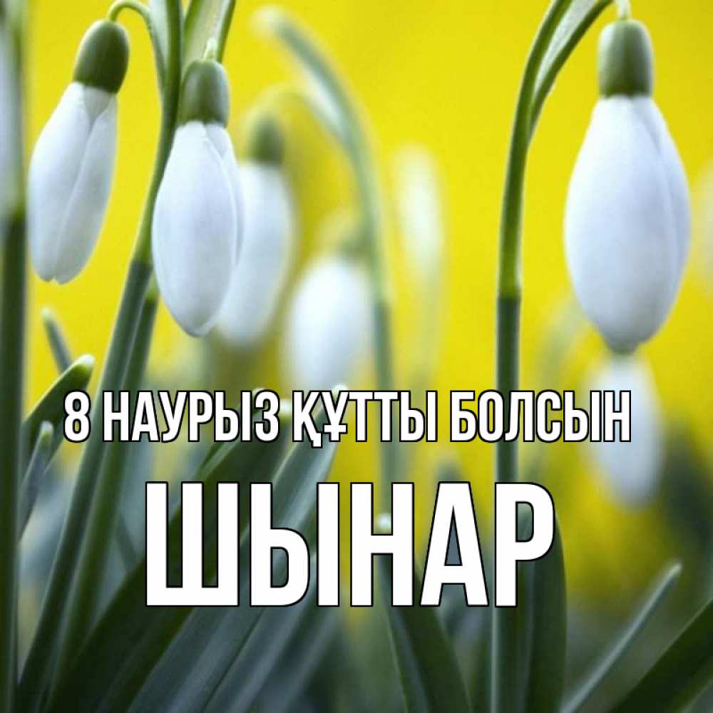 Күн сайын ашық хат с именем, ШЫНАР 8 наурыз құтты болсын весенние цветы Онлайн тегін жүктеп алу тілектері бар керемет карта 
