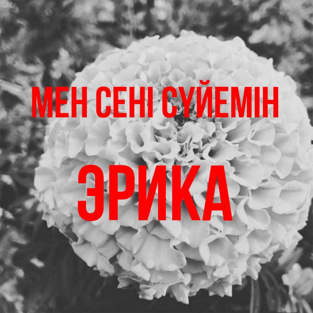 Күн сайын ашық хат с именем, Эрика Мен сені сүйемін подпись Онлайн тегін жүктеп алу тілектері бар керемет карта 