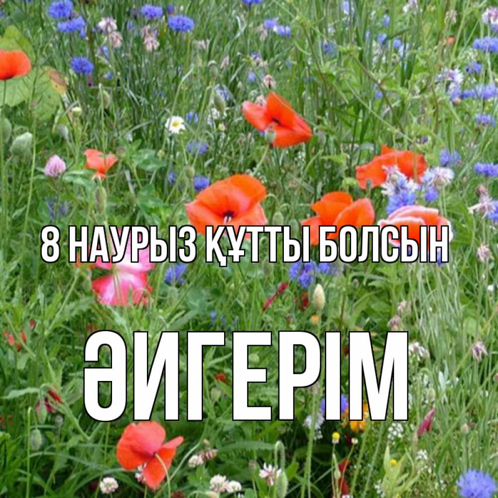 Күн сайын ашық хат с именем, ӘИГЕРІМ 8 наурыз құтты болсын международный женский день 4 Онлайн тегін жүктеп алу тілектері бар керемет карта 