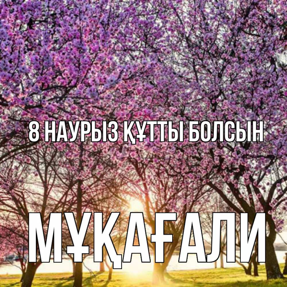 Күн сайын ашық хат с именем, МҰҚАҒАЛИ 8 наурыз құтты болсын международный женский день Онлайн тегін жүктеп алу тілектері бар керемет карта 