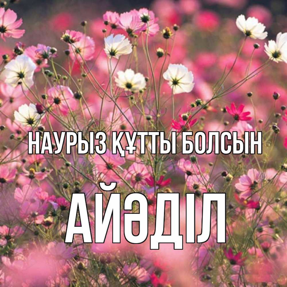 Күн сайын ашық хат с именем, Айәділ Наурыз құтты болсын красиво 1 Онлайн тегін жүктеп алу тілектері бар керемет карта 