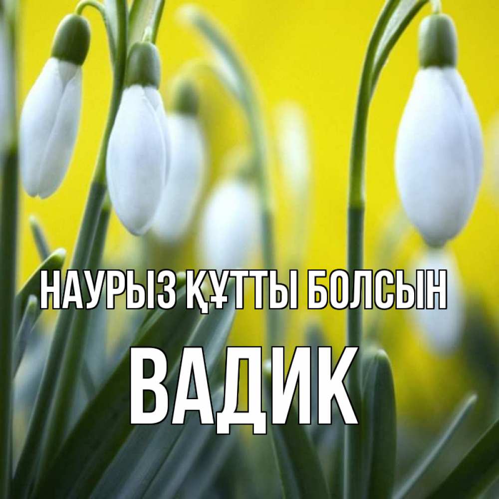 Күн сайын ашық хат с именем, Вадик Наурыз құтты болсын весенние цветы Онлайн тегін жүктеп алу тілектері бар керемет карта 