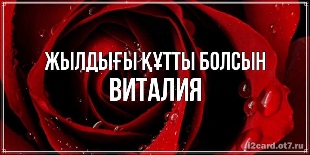 Күн сайын ашық хат с именем, Виталия Жылдығы құтты болсын крупная бордовая роза Онлайн тегін жүктеп алу тілектері бар керемет карта 